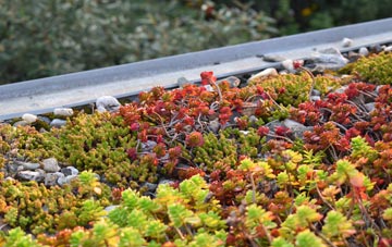 the cost of Sandylands green roof installation