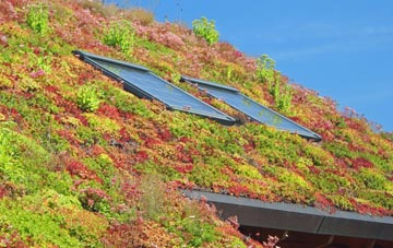 Sandylands living roof systems