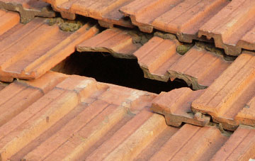 roof repair Sandylands